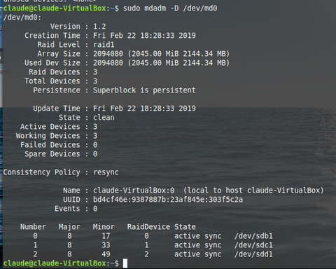 mdadm-D-raid-1-3disk
